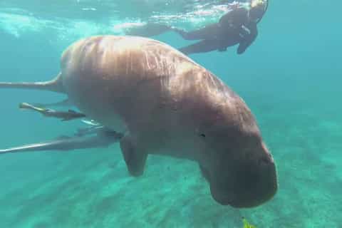 Zatoka Marsa Mubarak