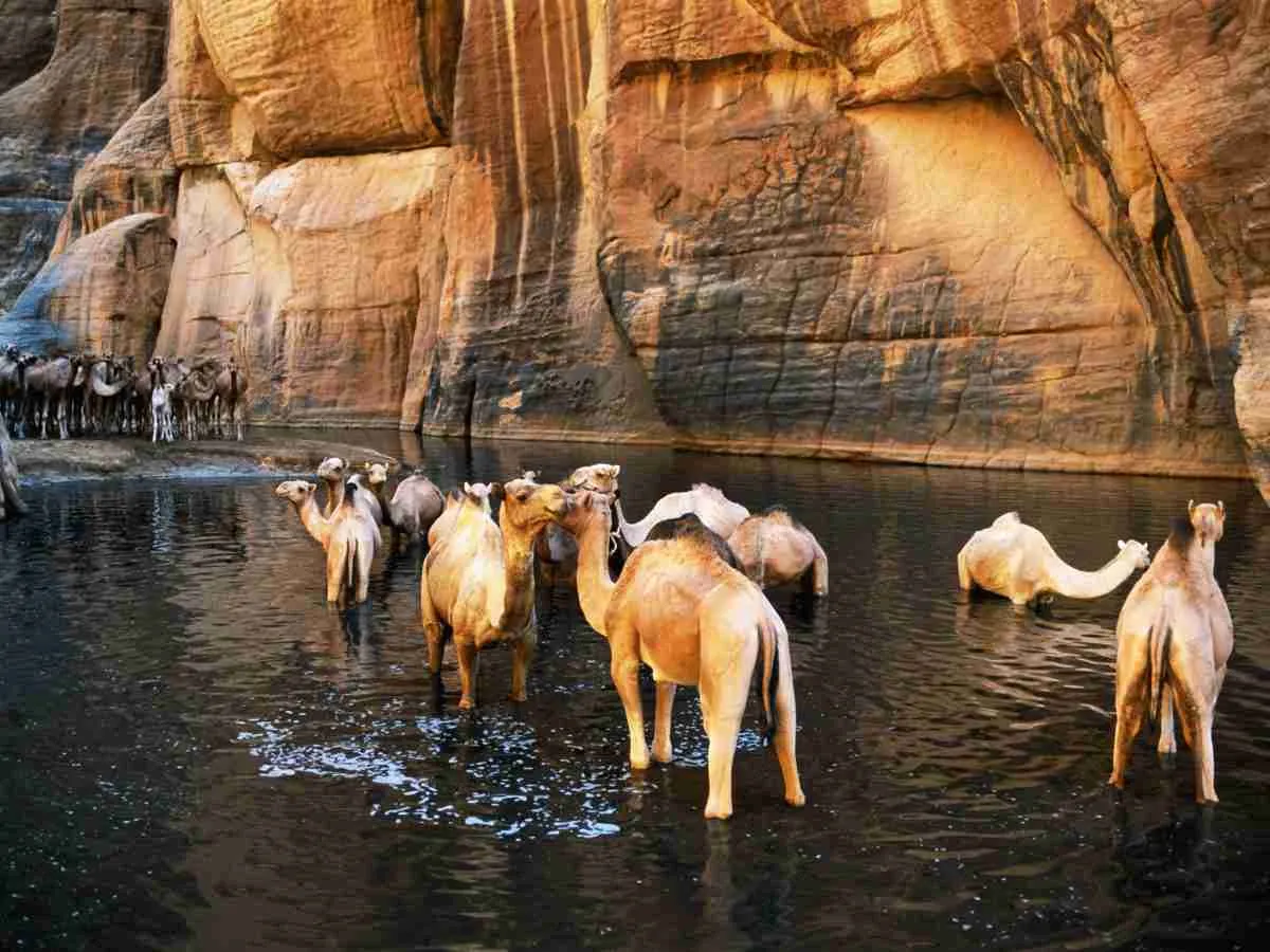 Tour Image
