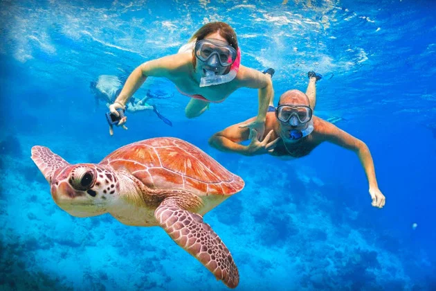 Najlepsze Marsa Alam wycieczki fakultatywne po polsku i atrakcje dla turystów 3 Najlepsze Marsa Alam wycieczki fakultatywne po polsku i atrakcje dla turystów