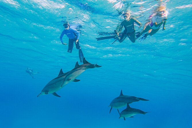 Marsa Alam Miasto – odkryj egipski raj na Ziemi! 2 Marsa Alam Miasto – odkryj egipski raj na Ziemi!