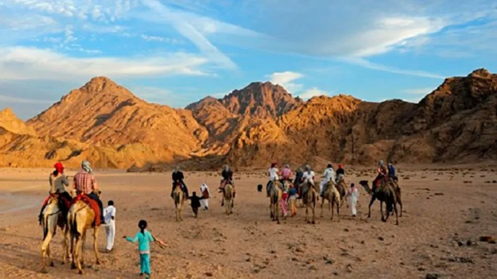 Safari na Wielbłądach w Sharm El Sheikh