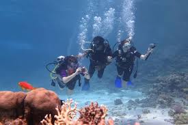 ile kosztuje nurkowanie w egipcie marsa alam​