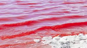 Dlaczego Morze Czerwone nazywa się czerwone?