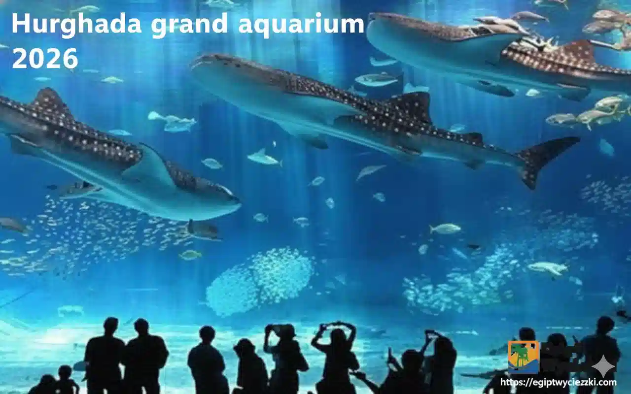Wielkie Akwarium w Hurghadzie 2026