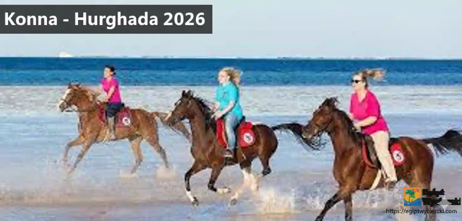 Wycieczki Konne w Hurghadzie – Prywatna Jazda po Pustyni i Plaży