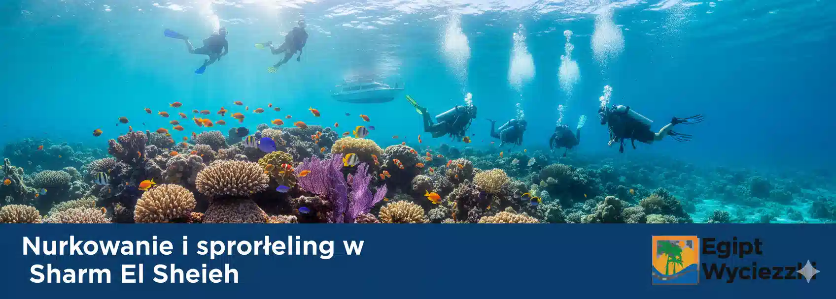 Nurkowanie i snorkeling w Sharm El Sheikh