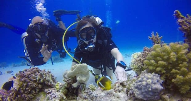 Sharm El Sheikh nurkowanie – Ile kosztuje nurkowanie w Sharm El Sheikh?