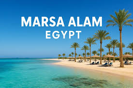 Zatoka Żółwi Marsa Alam 