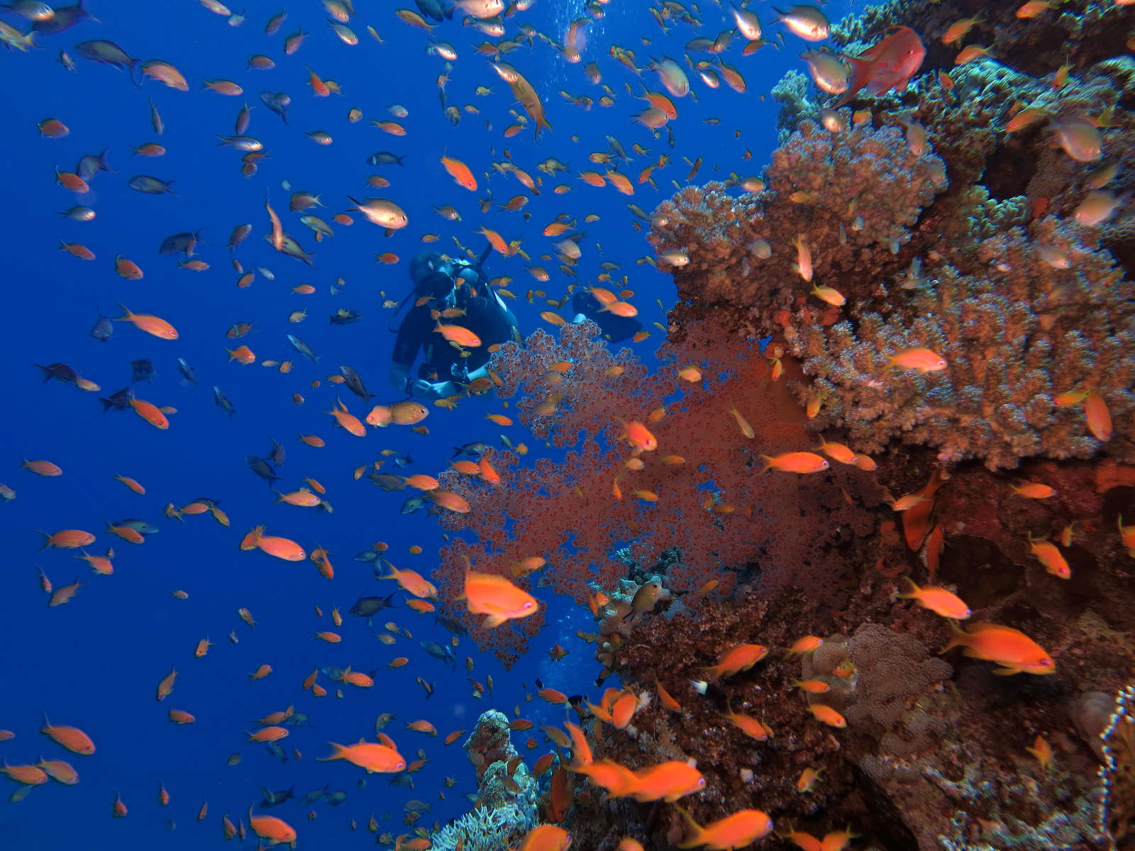plan wakacji, atrakcje, plaże i wycieczki
