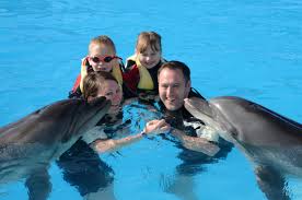 hurghada pływanie z delfinami