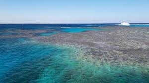 Biała Wyspa Sharm El Sheikh